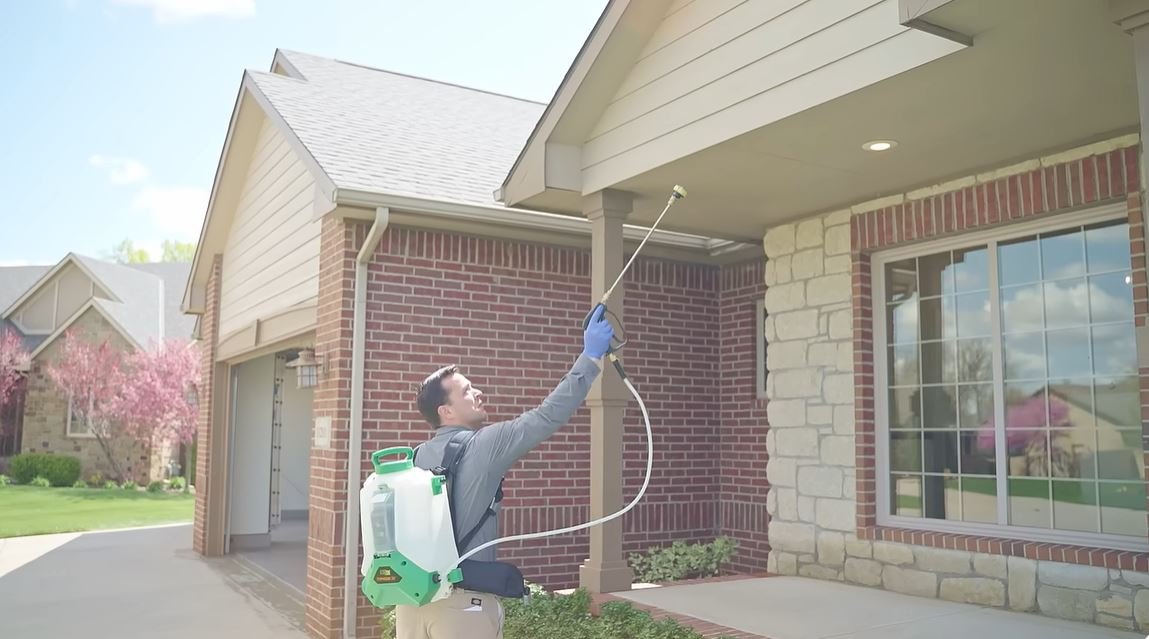 pest control in corpus christi