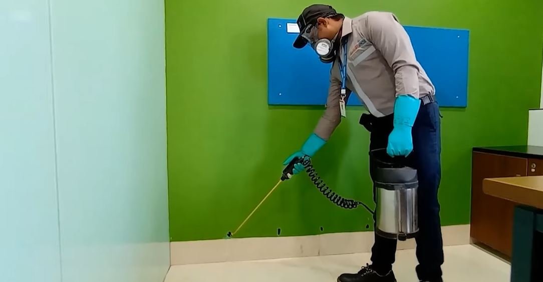 corpus christi pest control