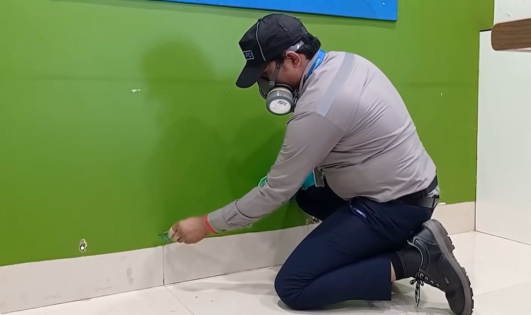 pest control services corpus christi tx